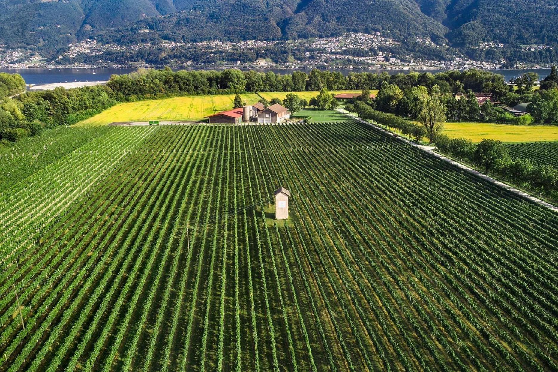 La Quercia By Fewotessin Apartment *
